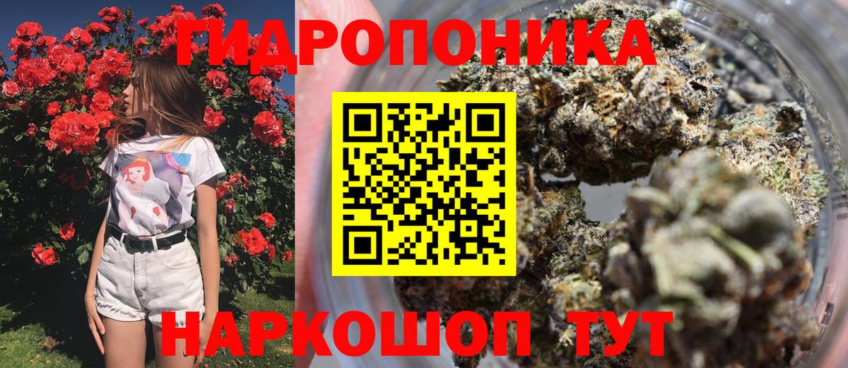 Марихуана Amnesia Заволжье